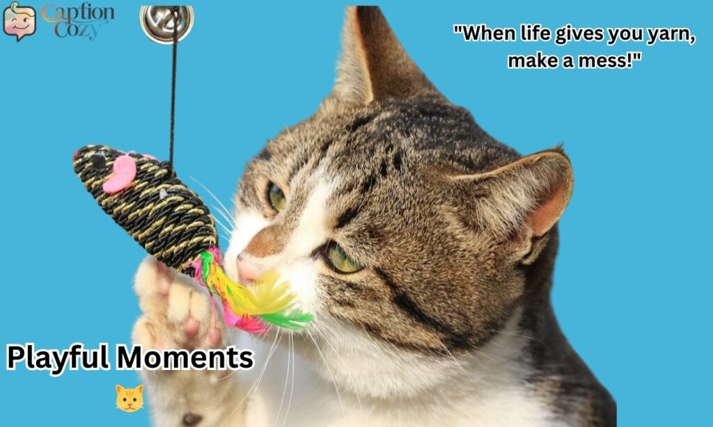 Playful & Energetic Cat Captions