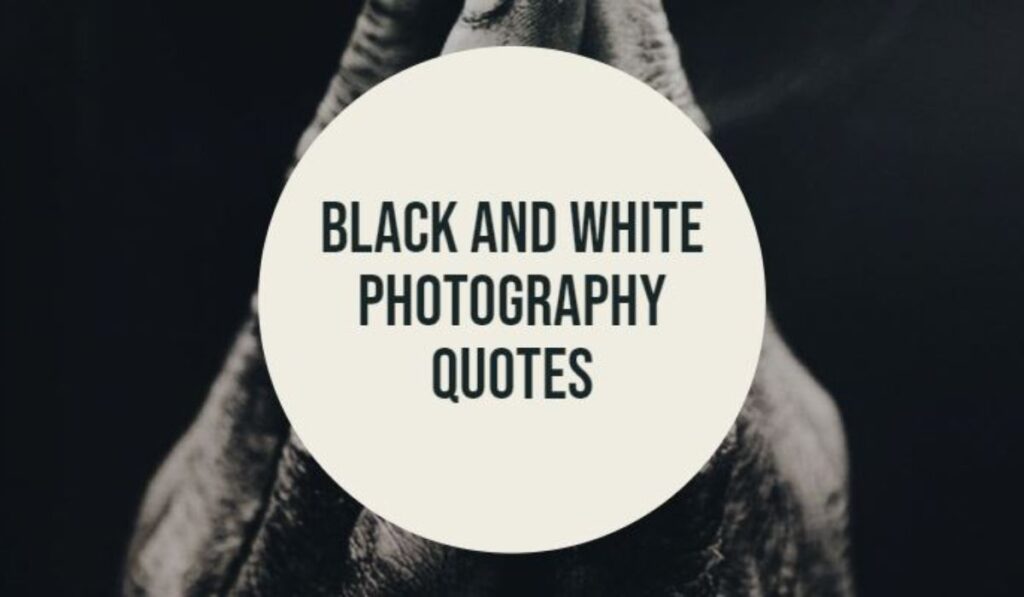 Black and White Quotes