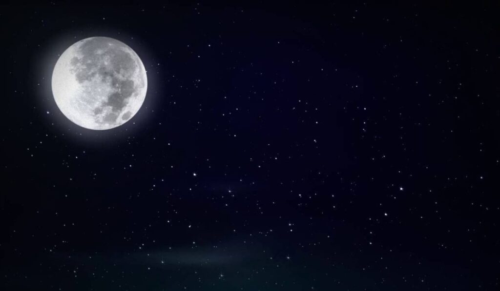Moonlit Skies