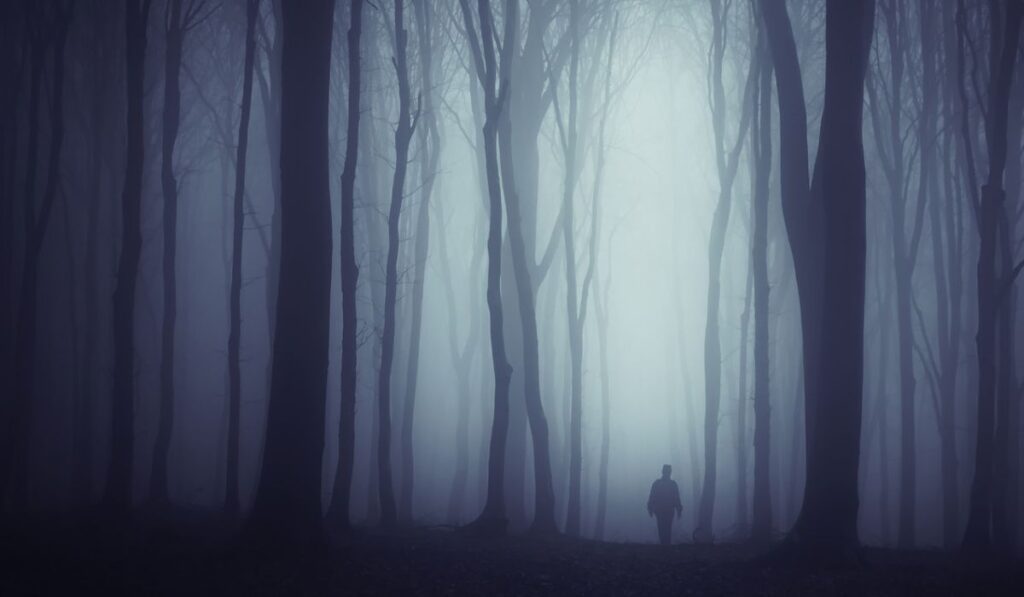 Dark & Mysterious