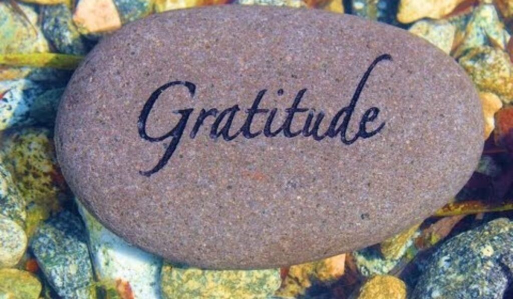 Gratitude & Reflection