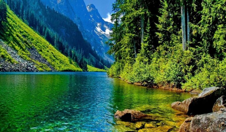 Nature