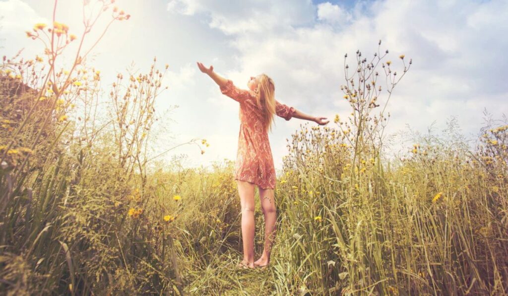 Sunkissed Moments in Nature