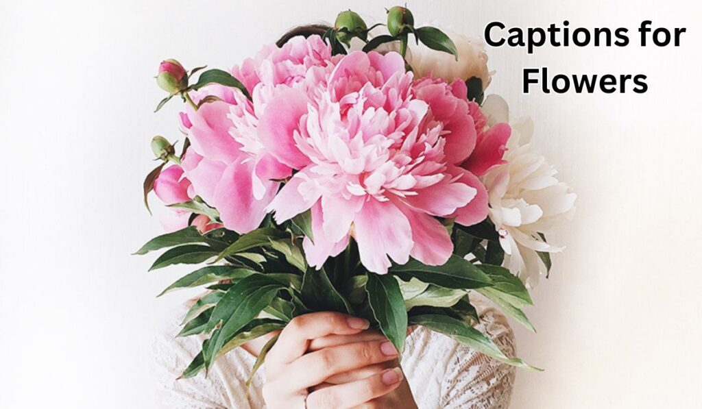 Captions for Flowers