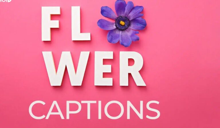 Flowers Captions