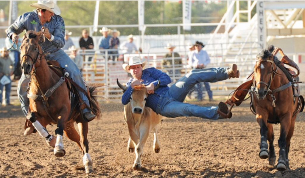 Rodeo Everyday Life 