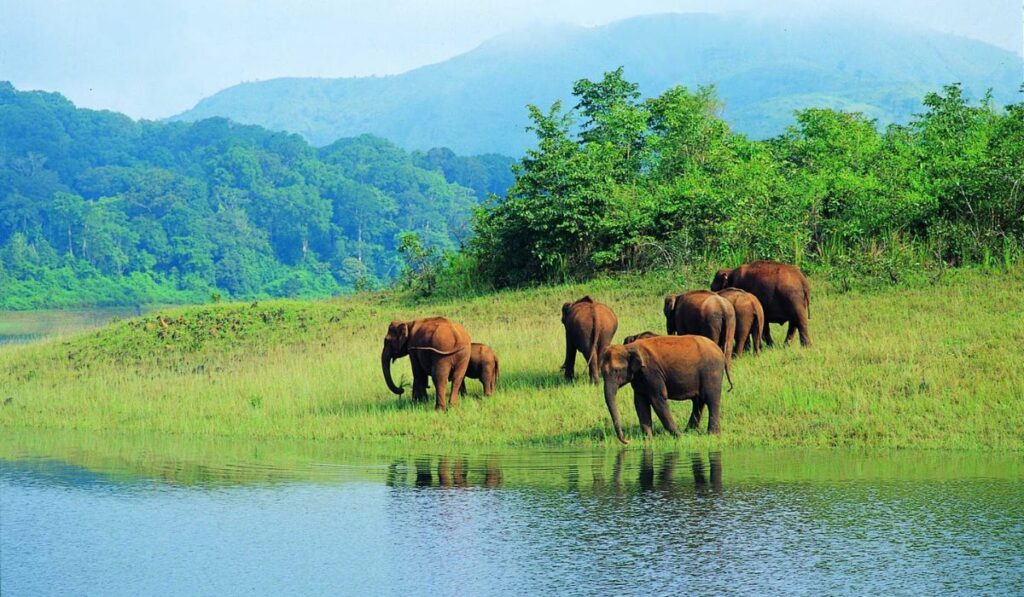 Kerala Wildlife and Nature 